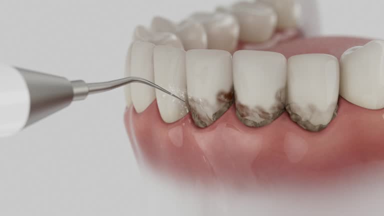 Reliable Dental contractor in Morgantown, MS by Dentist Open Now